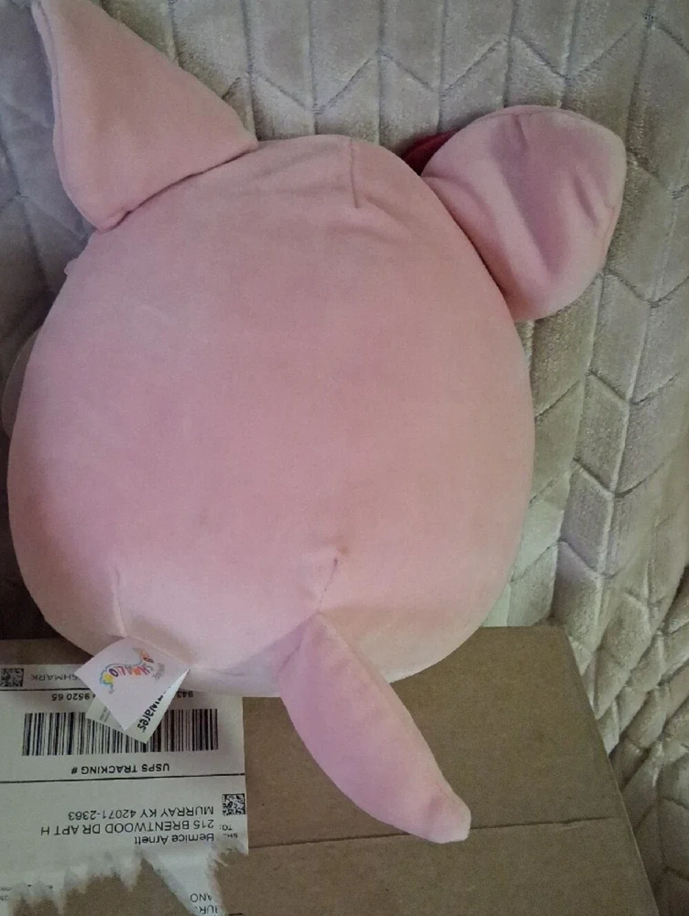 Squishmallow-This Is Miracle The Fennec Fox.